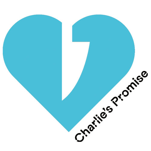 Add a donation to Charlie's Promise Thumbnail